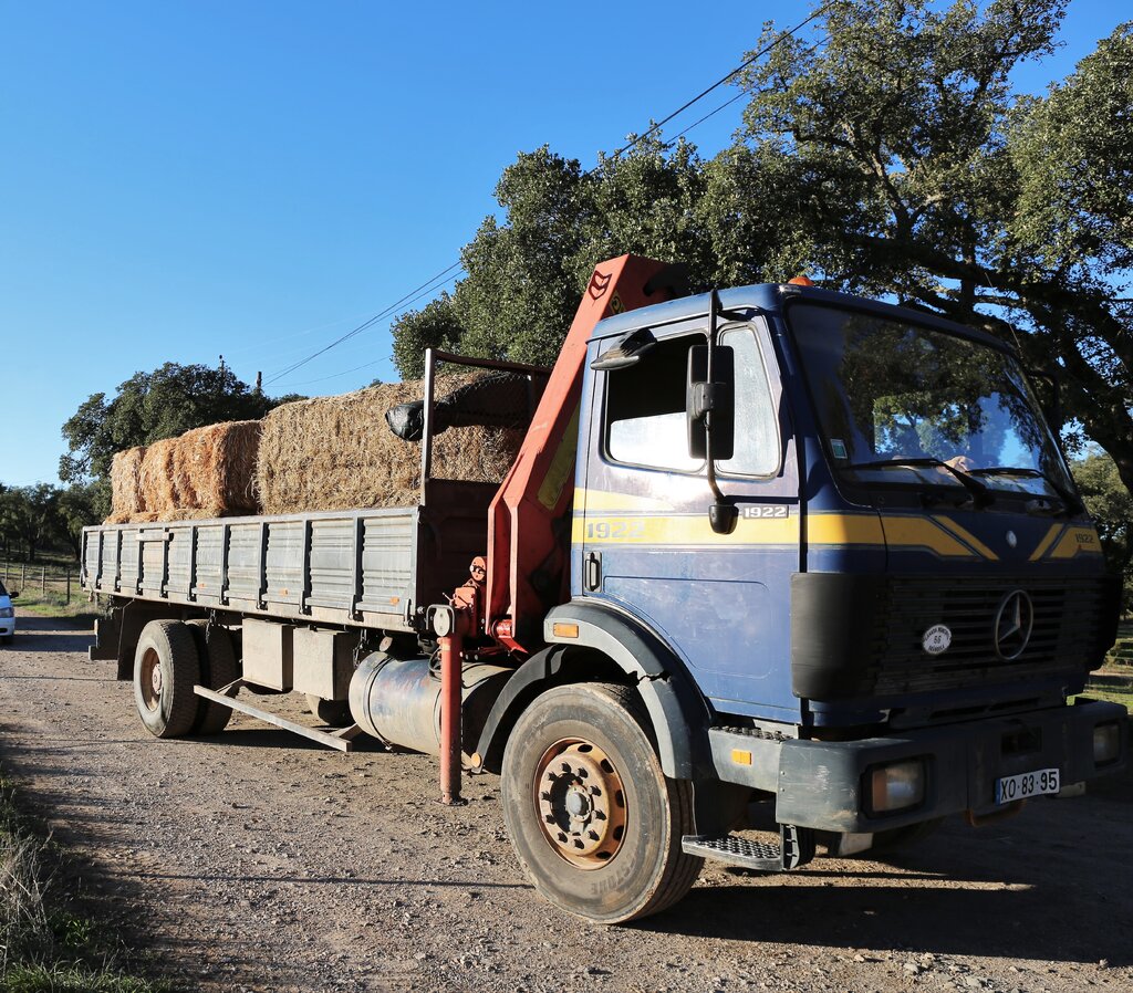 Câmara de Grândola, Associação de Agricultores de Grândola e Herdade da Barrosinha juntos no apoi...