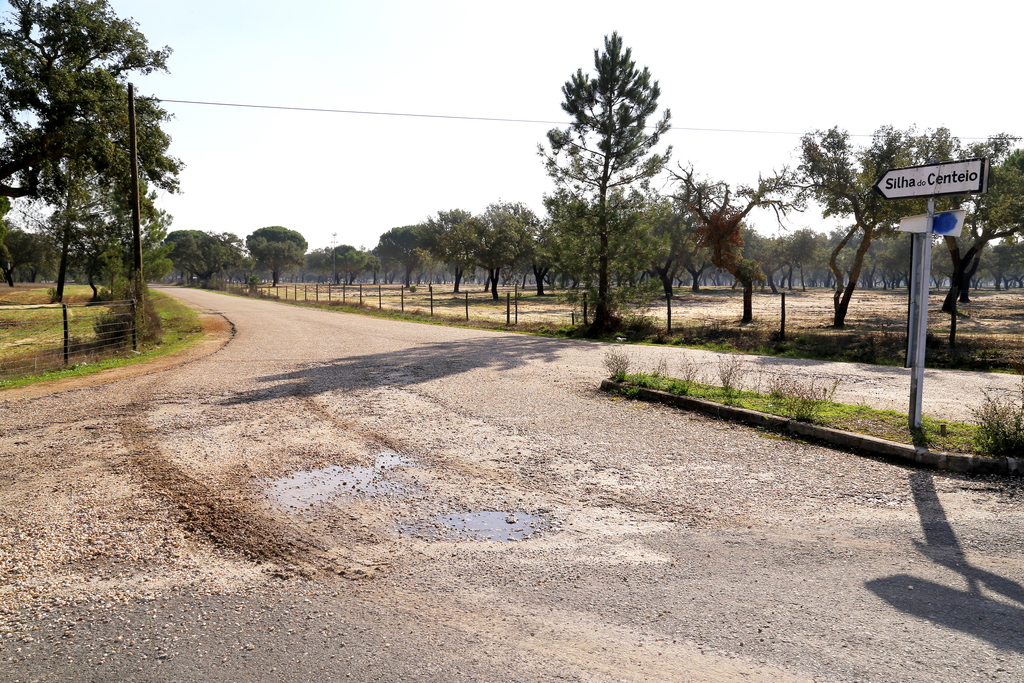 Requalificação da estrada da Silha do Centeio já está em concurso público