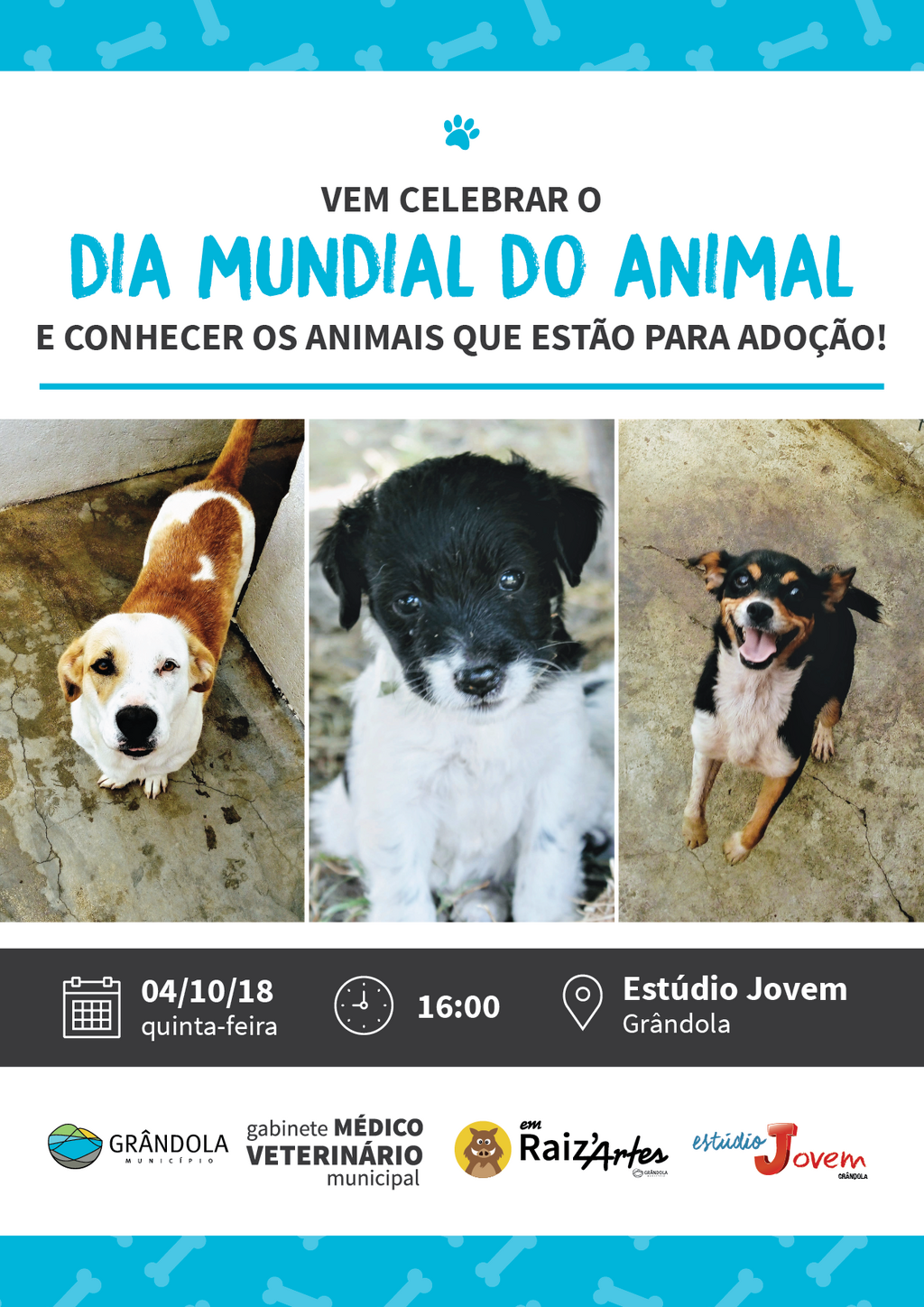 Dia Mundial do Animal em Grândola