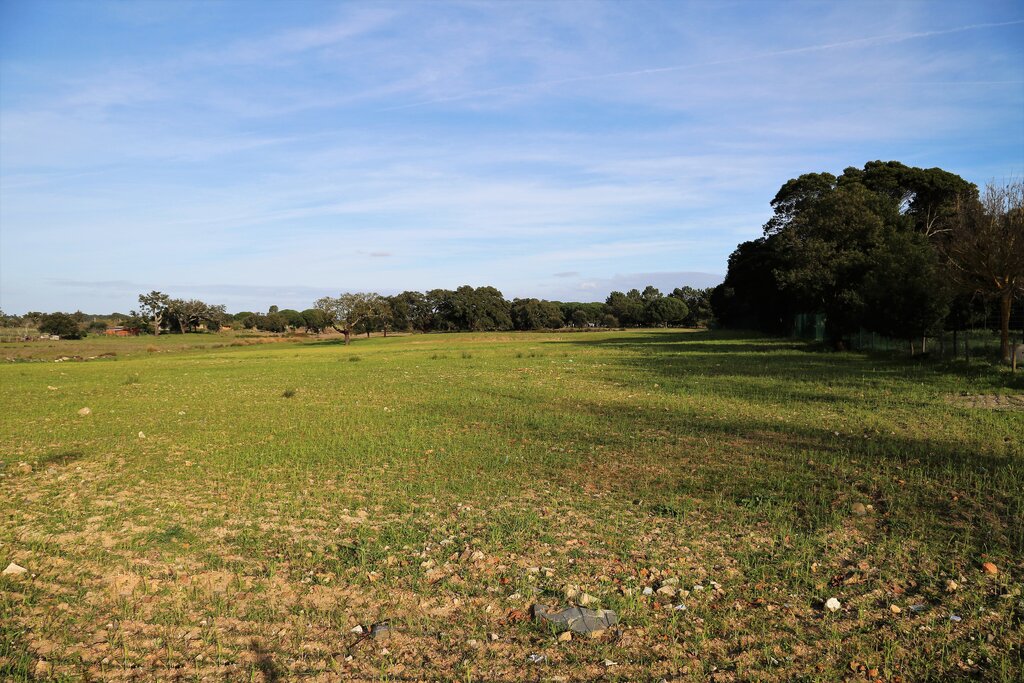 Município adquiriu 32 hectares da Herdade da Quinta Velha