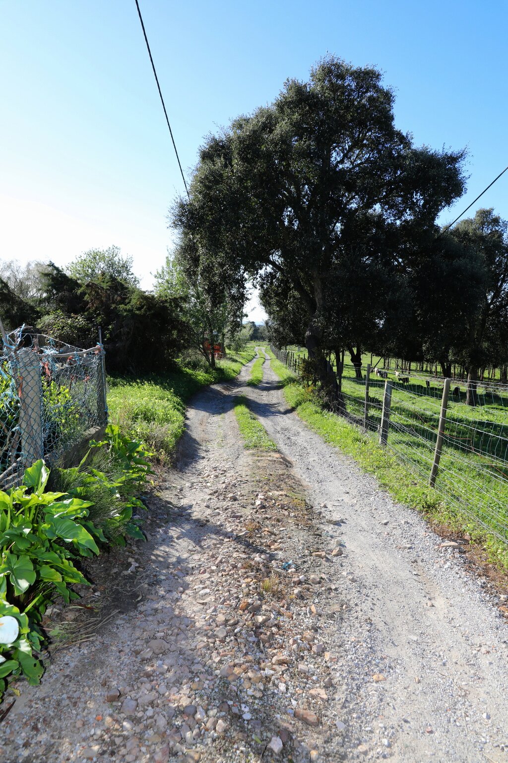 Obra na Nova Circular de Vale Figueira inicia em Abril