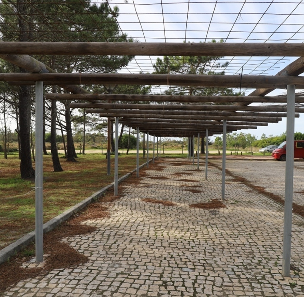 Arrancam as obras no parque de estacionamento da Praia de Melides