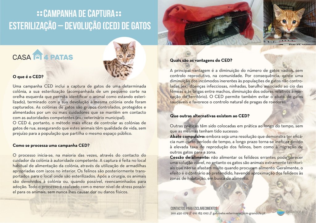 flyer CED CMGrandola